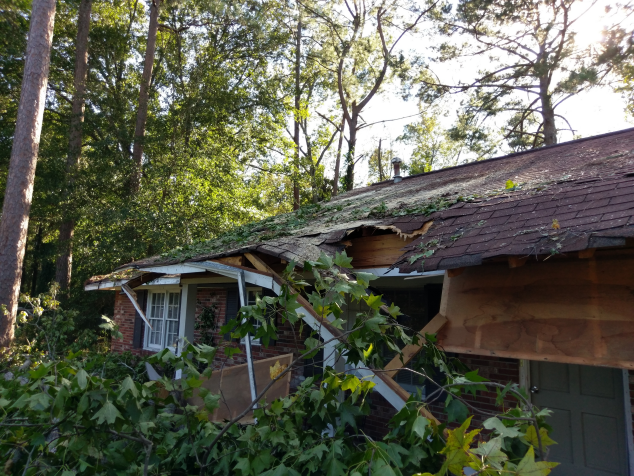 Front Porch with tree